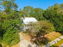 Scenic aerial view of the property, highlighting its lush surroundings and private location at 406 S Gum St, Summerville, SC 29483