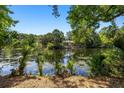 A serene view of the backyard pond surrounded by lush trees, adding a tranquil touch to the property at 2938 Old Drake Dr, Seabrook Island, SC 29455