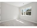 A carpeted bedroom with two double-hung windows showing natural light at 100 Claret Cup Way, Charleston, SC 29414