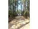 Charming single-story home with white siding and dark trim surrounded by tall trees at 144 Craft Ln, Round O, SC 29474