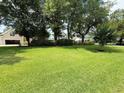 Expansive green lawn with mature trees, shrubs, and manicured landscape at 213 Ashmont Dr, Wando, SC 29492