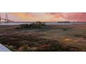 Picturesque marsh view showcasing a large cargo ship on the water at sunset at 149 Cooper River Dr, Mount Pleasant, SC 29464