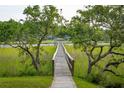 View of dock and pier leading to waterfront property, with lush greenery at 510 Traders Aly, Mount Pleasant, SC 29464