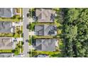 Aerial view of multiple homes showing roof lines, tree coverage, and surrounding landscape at 3537 Crosstrees Ln, Mount Pleasant, SC 29466
