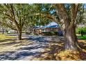 Landscaped brick home with mature trees surrounding the property at 4715 Highway 165, Meggett, SC 29449