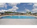 Community pool area with palm trees and plenty of space for lounging at 5307 Bending Flats Way, Summerville, SC 29485