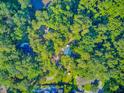 Overhead aerial view of a wooded homesite with mature trees providing great privacy at 7074 W Constellation Dr, North Charleston, SC 29418