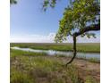 Scenic marsh view featuring a winding waterway and lush vegetation, showcasing the natural beauty at 226 Old House Ln, Dewees Island, SC 29451