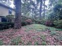 Backyard with trees and plants at 321 Fairington Dr, Summerville, SC 29485