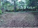 Large backyard with a wood fence at 321 Fairington Dr, Summerville, SC 29485