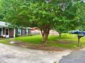 Spacious front yard with healthy lawn and mature tree providing ample shade at 4470 Farmwood Ct, Ladson, SC 29456