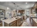 Modern kitchen boasts stainless steel appliances, quartz countertops, and stylish pendant lighting at 464 White Magnolia St, Moncks Corner, SC 29461