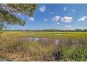Breathtaking marsh view, showcasing the natural beauty and serene setting of this property at 5084 Timber Race Crse, Hollywood, SC 29449