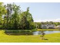 Scenic pond view showcasing lush greenery and serene waterfront living in a quiet neighborhood at 1417 Roustabout Way, Charleston, SC 29414