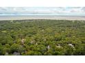 Aerial view of a wooded neighborhood near the ocean at 2645 Gnarled Pine, Seabrook Island, SC 29455