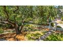 Large grassy backyard area with privacy fence, mature shade trees, and a brick walkway at 11 49Th Ave, Isle of Palms, SC 29451