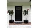 Covered front porch featuring black front door, potted plants, and a decorative welcome mat at 702 N N Palmetto St, Summerville, SC 29483