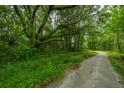 Scenic walking path winding through a lush green forest at 1529 Foster Creek Rd, Hanahan, SC 29410