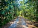 Scenic shot of the gravel driveway leading through a lush, green, wooded area at 153 Willow Brook Way, Cordesville, SC 29434