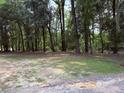 Picturesque land featuring mature trees, a sandy base, and beautiful natural scenery at 2460 Bama Rd, Cottageville, SC 29435