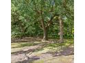 Large backyard with mature trees, a birdbath, and a partially-fenced perimeter, offering privacy at 4767 June St, North Charleston, SC 29405