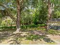 Serene backyard shaded by mature trees, perfect for relaxation and enjoying the peaceful outdoors at 4767 June St, North Charleston, SC 29405