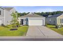 Attractive single-Gathering home featuring a two-car garage, neat landscaping, and inviting curb appeal at 325 Coral Sunset Way, Summerville, SC 29486