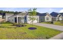 Well-maintained home with a two-car garage, green lawn, and young tree in a Gathering-friendly neighborhood at 325 Coral Sunset Way, Summerville, SC 29486