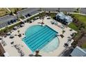 Aerial view of a large community pool with lounge chairs and umbrellas at 5305 Bending Flats Way, Summerville, SC 29485