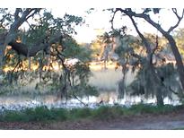Scenic waterfront property with lush trees and tranquil waters at 1158 Village Creek Lane Unit 4 # 803, Mount Pleasant, SC 29464