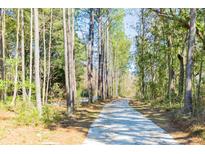 Paved nature trail winding through lush trees, providing a tranquil outdoor experience at 1604 John Fenwick Ln, Johns Island, SC 29455
