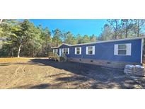 Blue single-story home with deck and wooded lot at 355 Dike Rd Rd, Bonneau, SC 29431