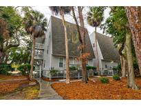 A-frame style building with grey siding, and a walkway leading to the entrance at 251 Driftwood Ln, Edisto Island, SC 29438