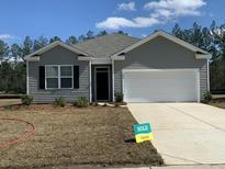 Newly built gray house with a two-car garage and landscaped lawn at 229 Grand View Xing, Summerville, SC 29483