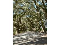Magnificent canopy of live oaks shades a long private drive at 60 Fenwick Hall Aly # 313, Johns Island, SC 29455