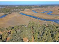 Aerial view of waterfront property with expansive marsh views and private docks at 8934 Sandy Creek Rd, Edisto Island, SC 29438