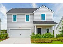 Two-story house with gray siding, white trim, and a two-car garage at 110 Threaded Fern St, Summerville, SC 29485
