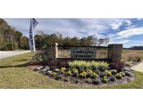 Community entrance sign with landscaping at 158 Carolina Groves Blvd, Moncks Corner, SC 29461