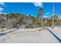Beachfront home with palm trees and ocean views at 367 Pelican Flight Dr, Dewees Island, SC 29451