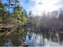 Scenic lake view with calm water and lush trees at 218 Cat Hole Ln, Branchville, SC 29432