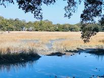 Scenic marsh view with lush foliage and tranquil waters, offering a serene and picturesque natural setting at 1402 Camp Rd # 15H, Charleston, SC 29412