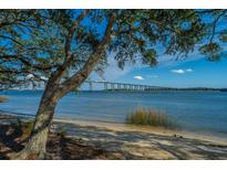 Scenic waterfront view featuring a mature tree, sandy beach and impressive bridge over calm, blue water at 130 River Landing Dr # 7123, Charleston, SC 29492