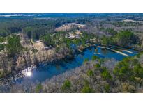 Expansive aerial view showcasing the lakefront property surrounded by lush greenery and mature trees at 120 Rancho Hippey Way, Saint George, SC 29477
