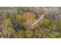 Overhead view of a quaint home surrounded by trees with long driveway at 7537 Parkers Ferry Rd, Adams Run, SC 29426