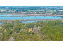 Stunning aerial view showcasing waterfront homes with private docks on a serene waterway at 3970 Betsy Kerrison Pkwy, Johns Island, SC 29455