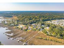 Stunning aerial view of homes near winding waterways and piers, surrounded by lush green trees at 4343 Ten Shillings Way, Ravenel, SC 29470