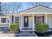 Charming home entrance featuring columns, a decorative door, and well-manicured landscaping at 817 Savage Rd, Charleston, SC 29407