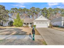 Charming single-story home features a well-manicured lawn and a two-car attached garage at 1363 Somersby Ln, Mount Pleasant, SC 29466