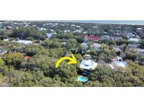 An aerial view of a home nestled in a lush, wooded landscape, featuring a private pool and distant ocean view at 2514 Myrtle Ave, Sullivans Island, SC 29482