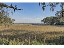 Scenic marsh view with a dock and distant buildings, framed by trees and foliage against a clear blue sky at 130 River Landing Dr # 4209, Charleston, SC 29492